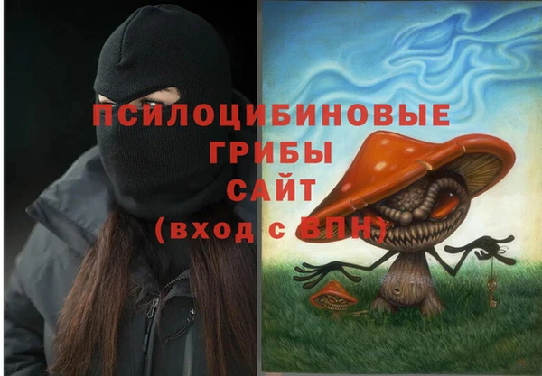 прущие грибы Алексеевка