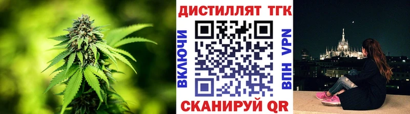 купить   Омск  ТГК концентрат 